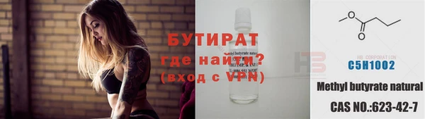 прущие грибы Ельня