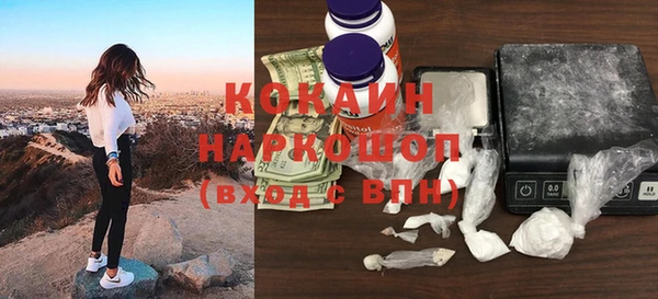 прущие грибы Ельня